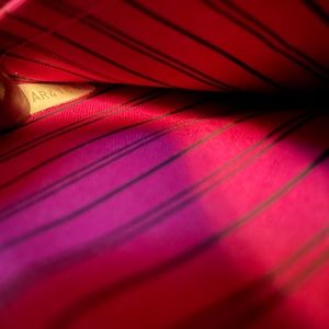 Louis Vuitton Neverfull Pouch